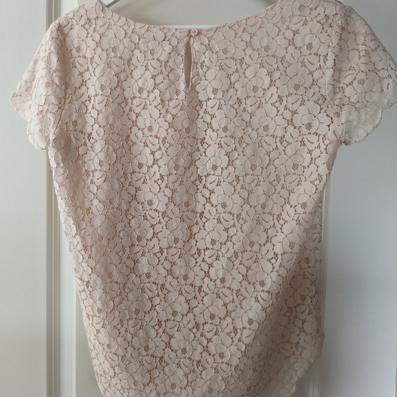 Blush Aritzia/ Talula Floral Lace Blouse - Picture 3 of 4